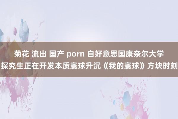 菊花 流出 国产 porn 自好意思国康奈尔大学探究生正在开发本质寰球升沉《我的寰球》方块时刻